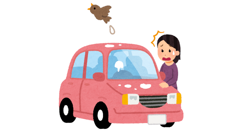鳥のフンから車を守る鳥よけサンシェードは効果あり 効果を高める方法と作り方を解説するよ ペーパードライバー克服を目指せ